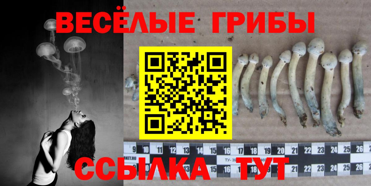 Галлюциногенные грибы Ефремов