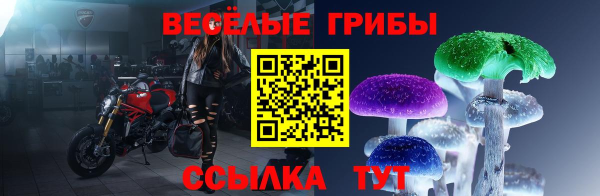 Ефремов  Галлюциногенные грибы мицелий  Вход с VPN  дарнет шоп  Псилоцибиновые грибы Psilocybine cubensis 